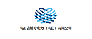 陜西省地方電力（集團）有限公司 